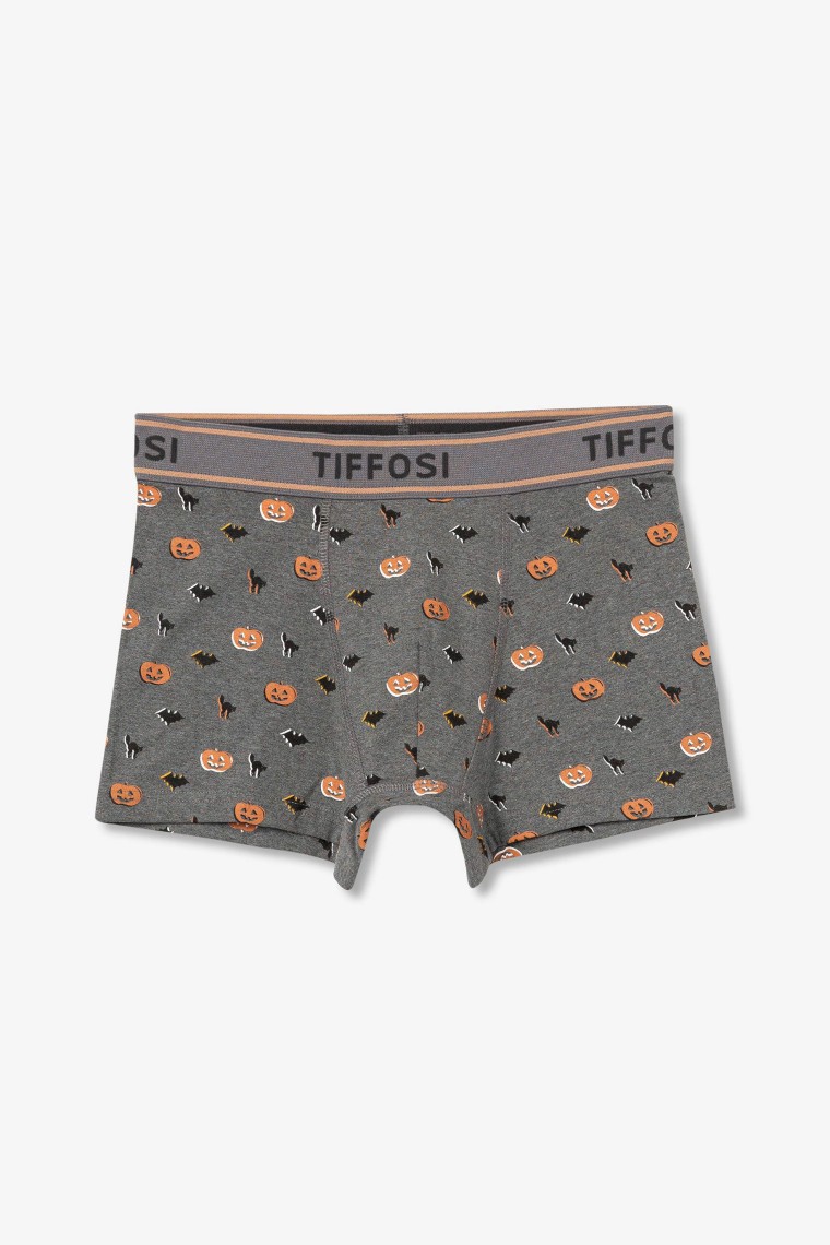 Halloween Fantasy Boxers