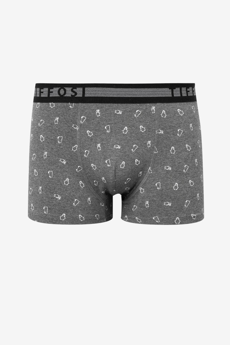 Boxers Estampado Pinguins