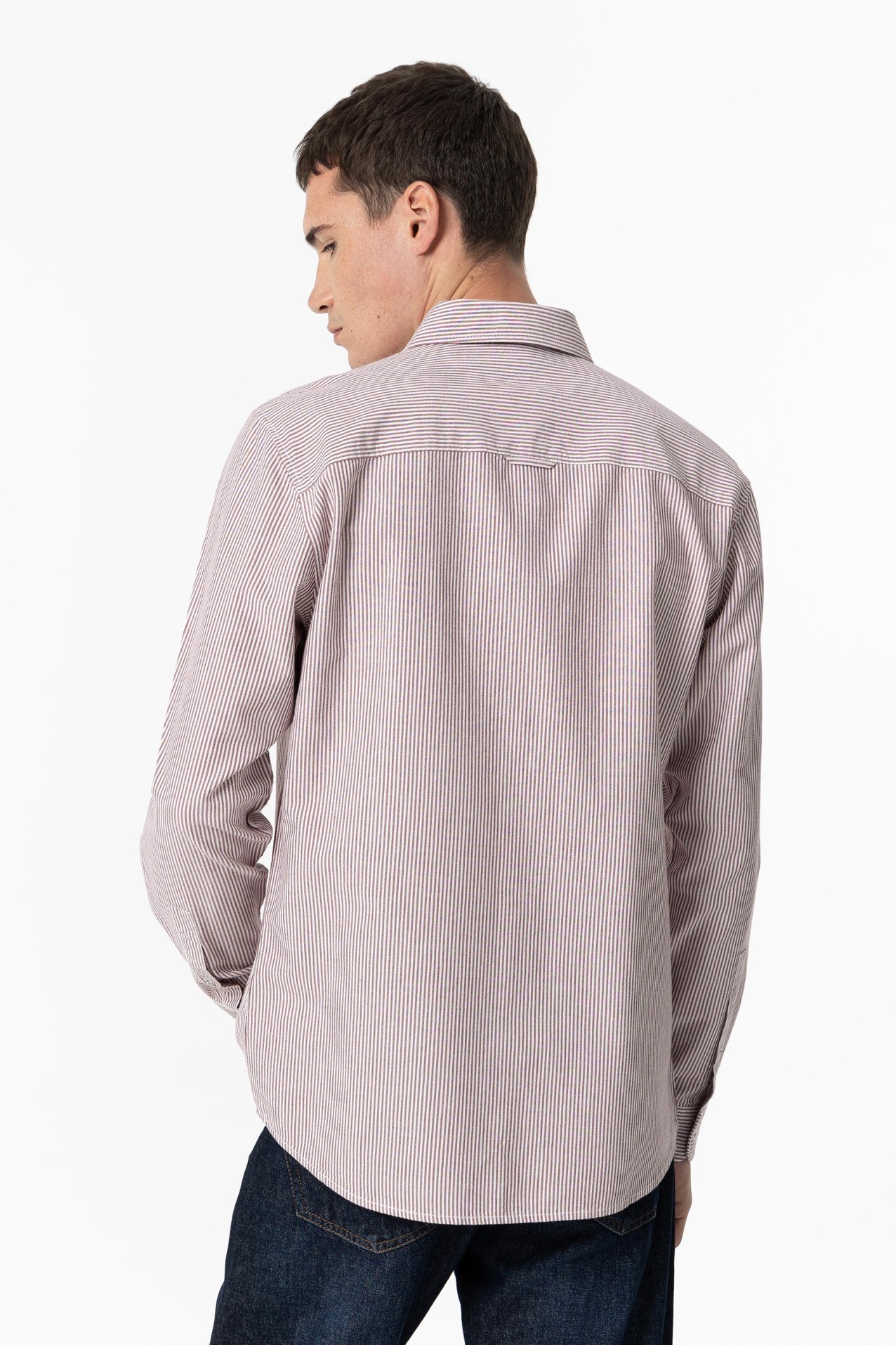 Camisa Regular Fit Oxford Rayas