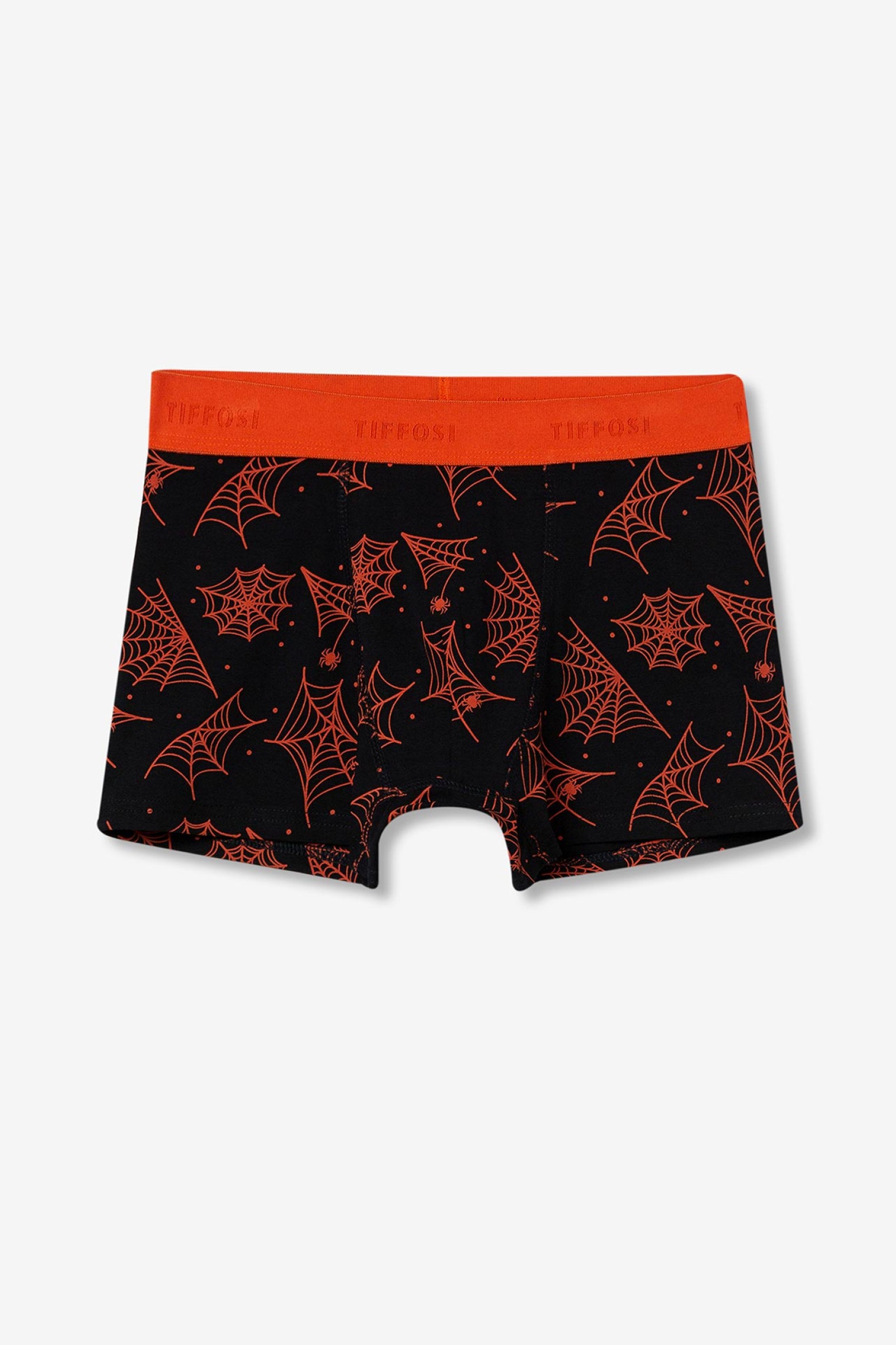 Boxers com teias aranhas