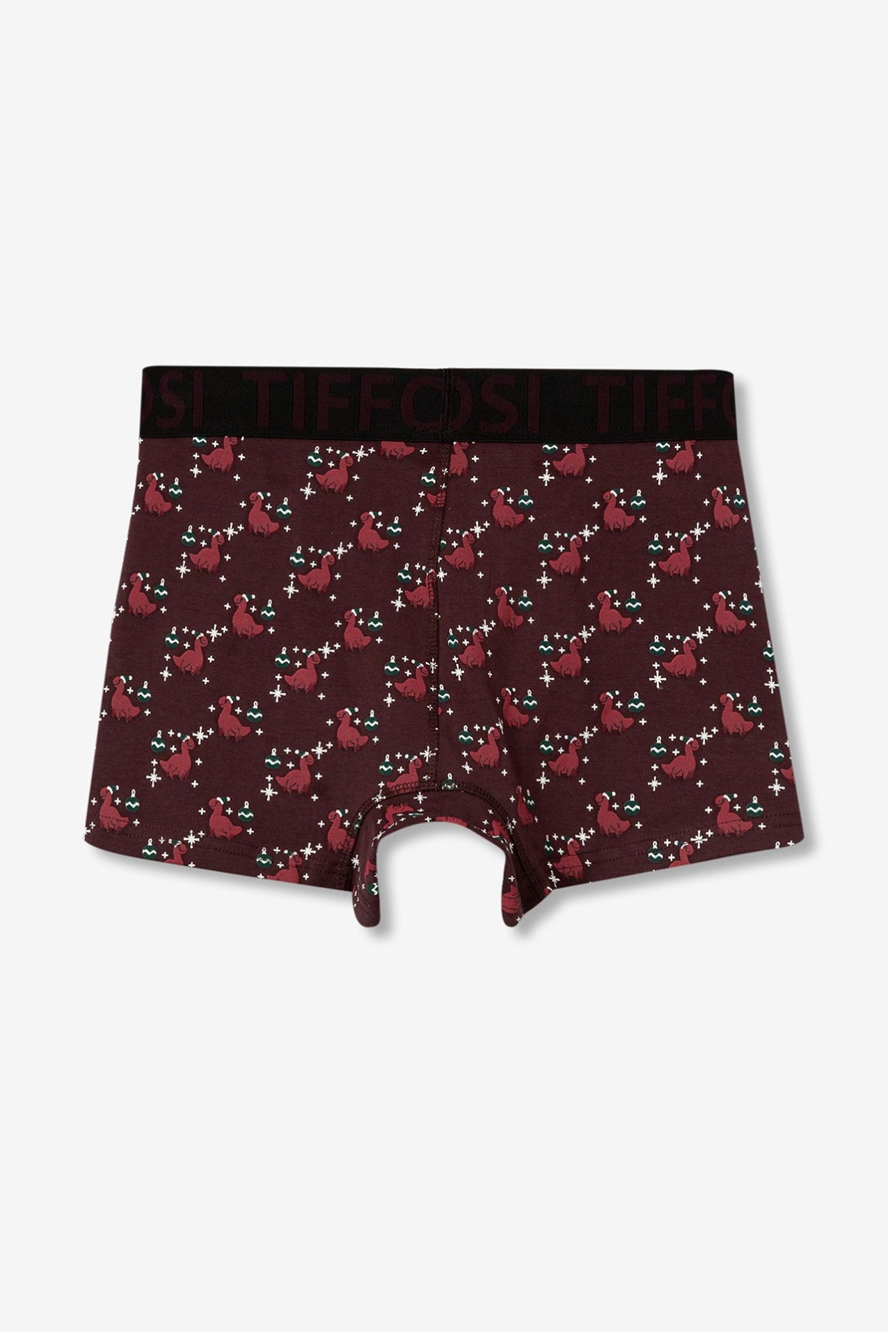 Dinosaur Print Boxers