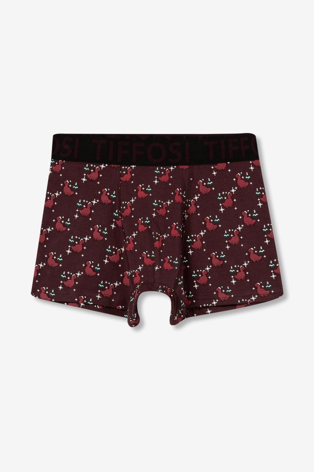 Boxers con dinosaurios navideos