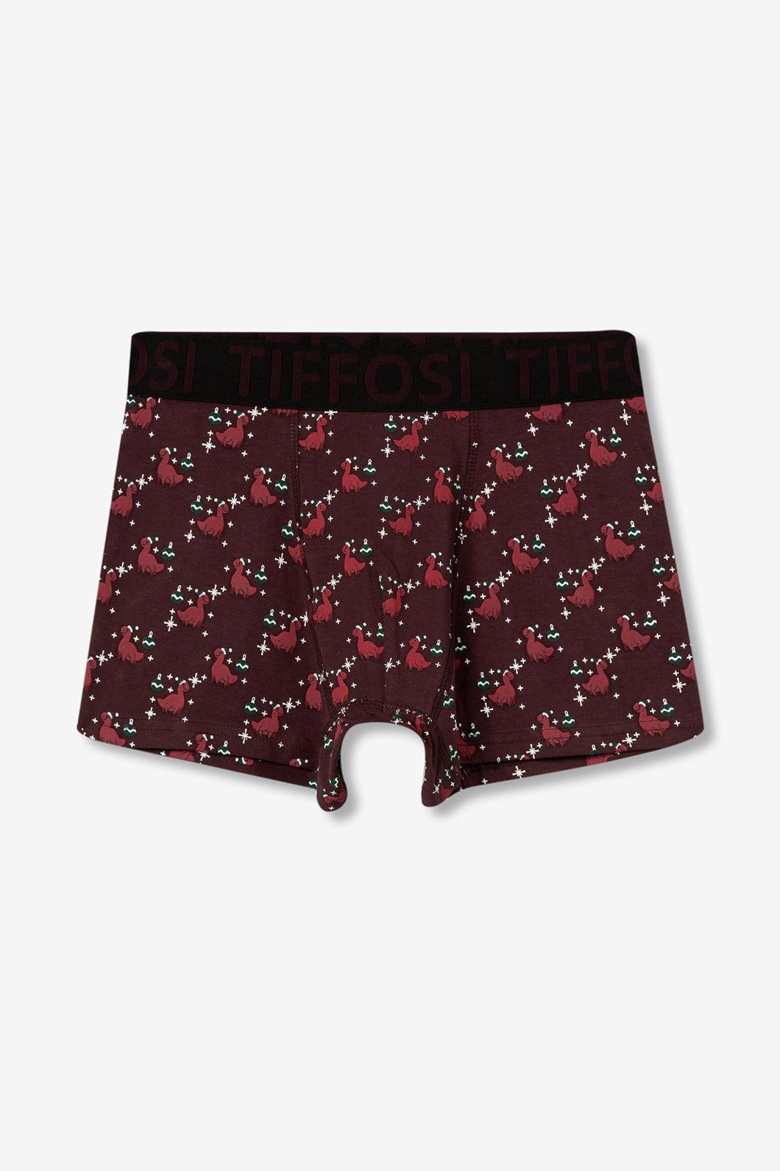 Dinosaur Print Boxers