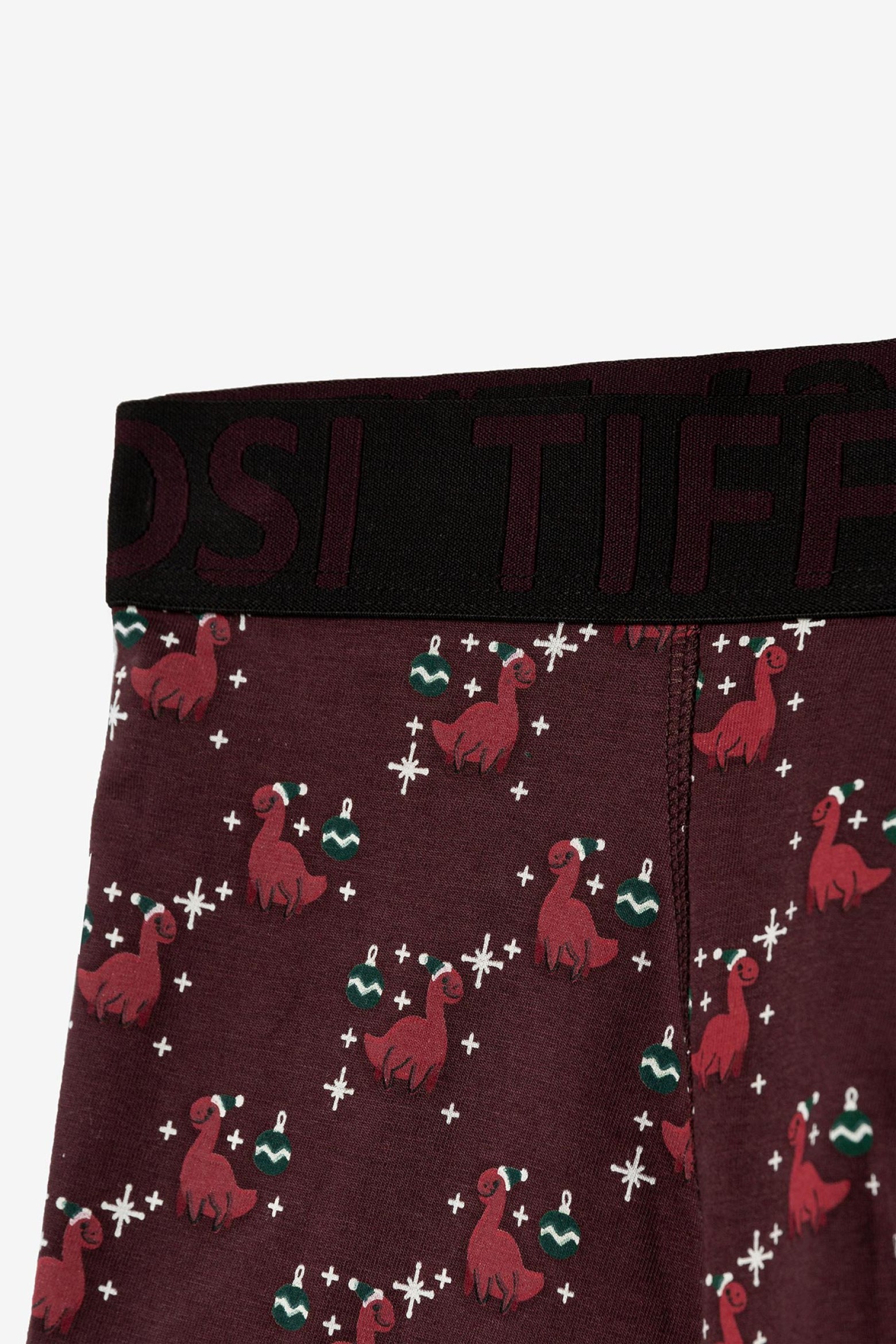 Dinosaur Print Boxers