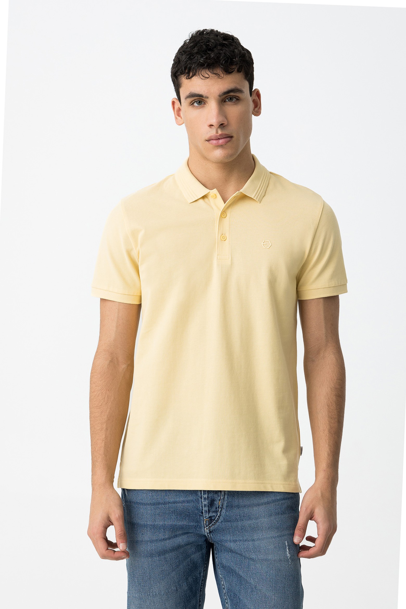 Polo Bsico