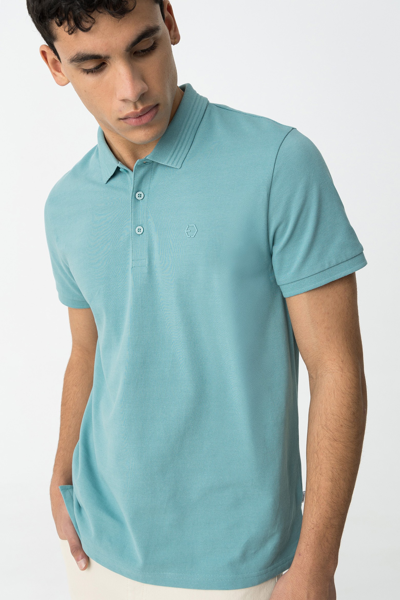 Polo bsico