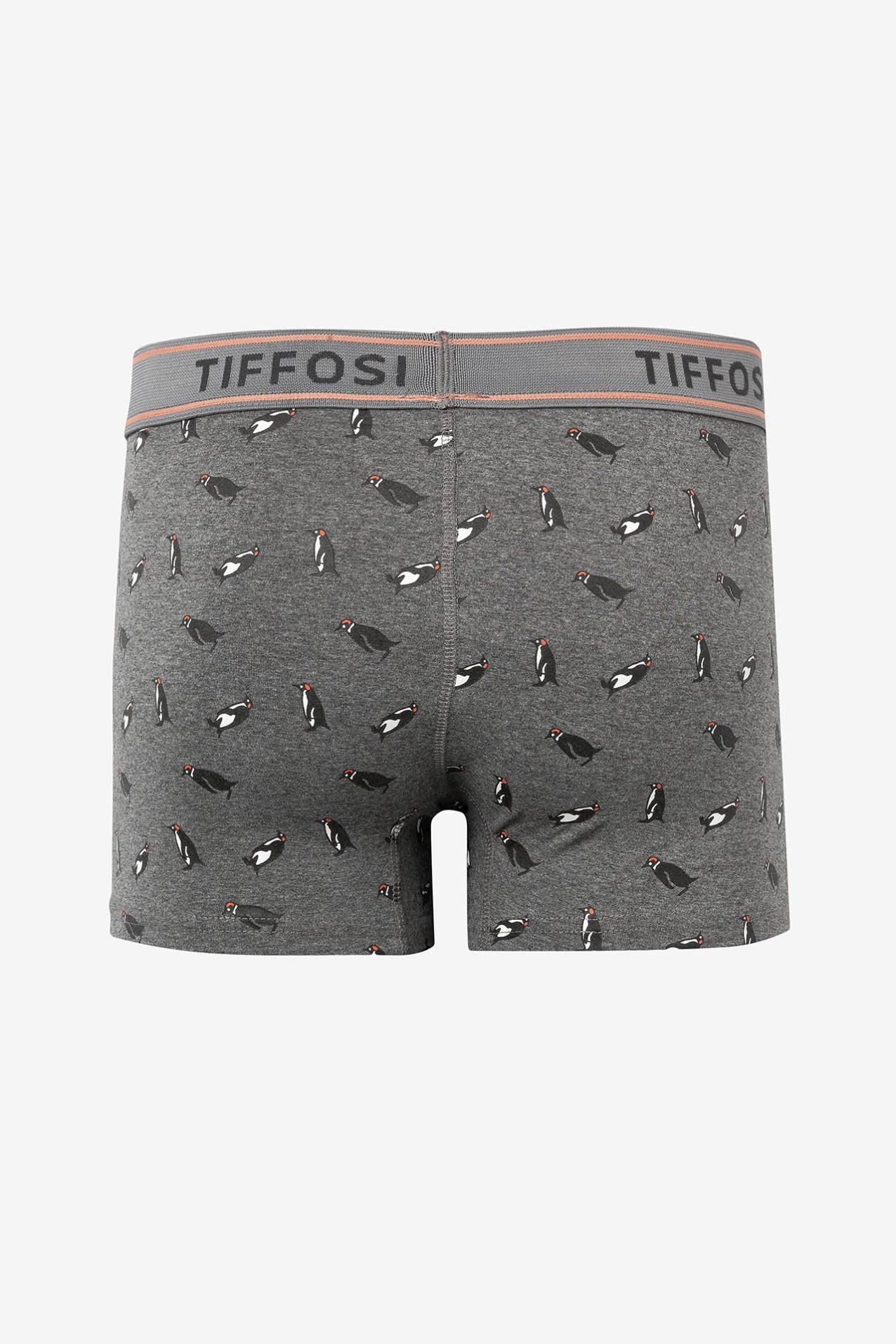 Penguins Print Boxers