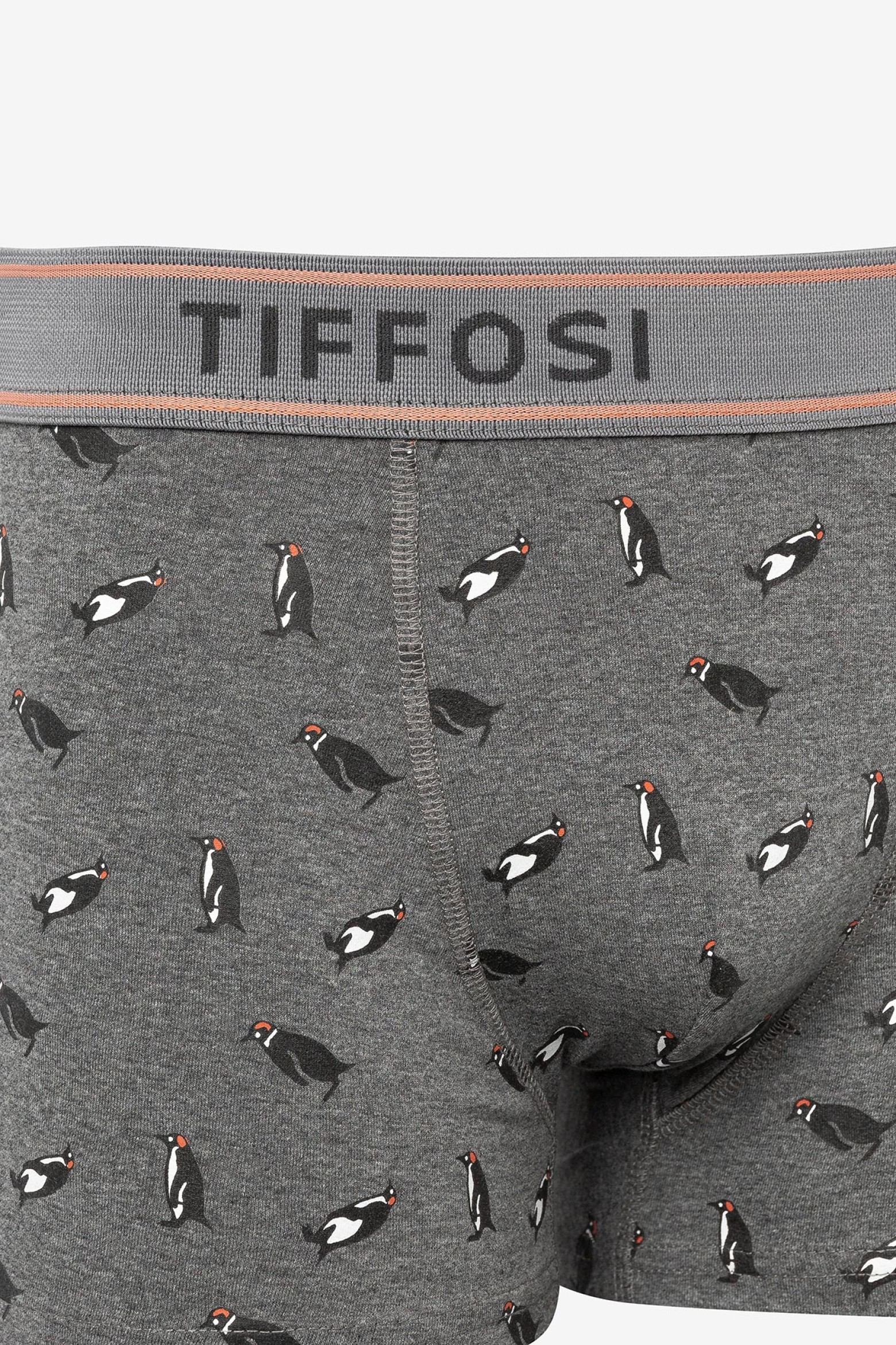 Penguins Print Boxers