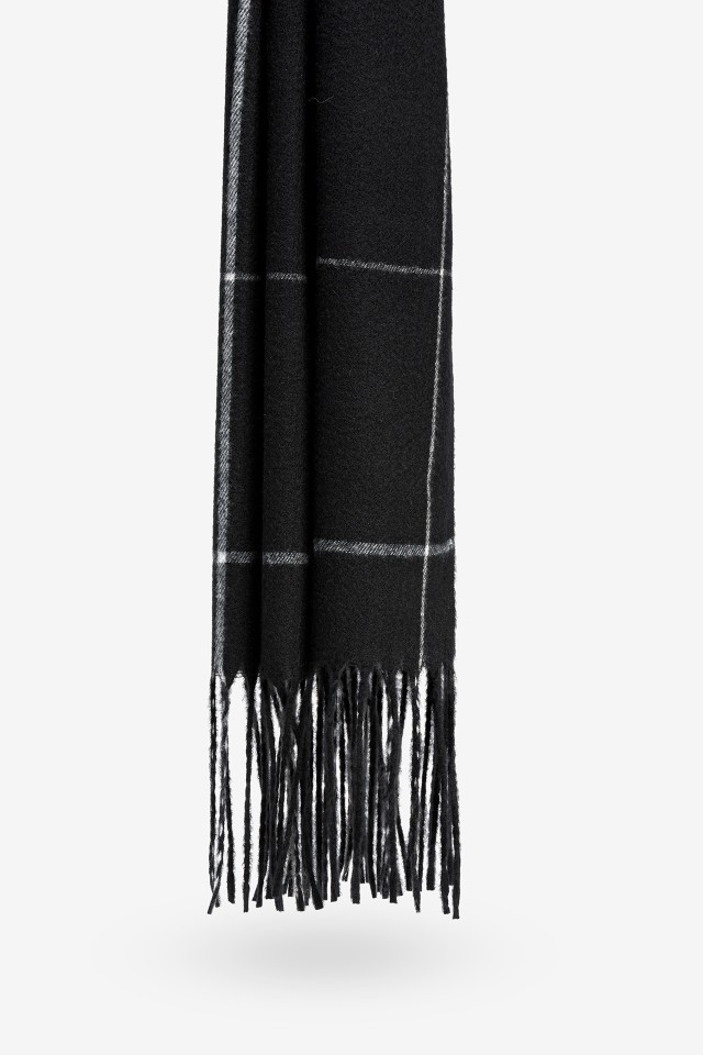 Scarf with Fringes
