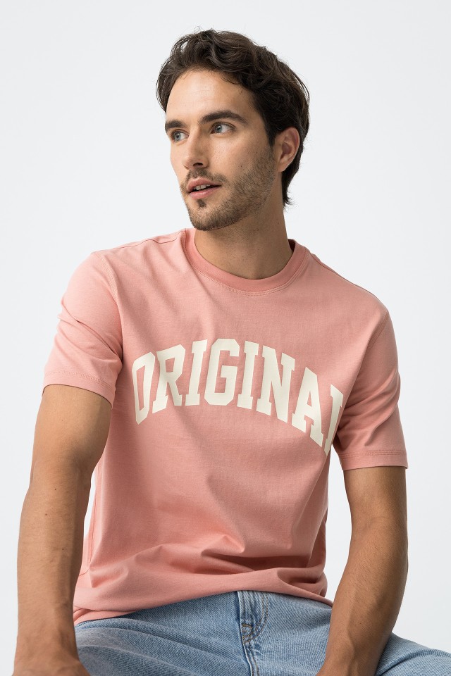 Printed T-Shirt With Embroidery