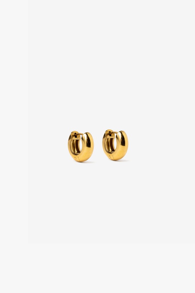 Golden Hoop Earrings