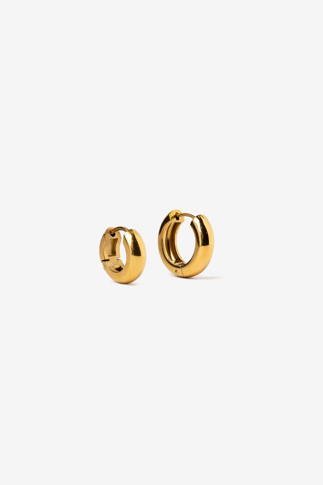Golden Hoop Earrings