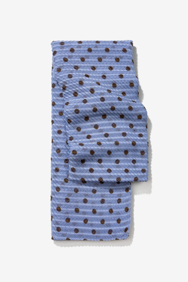 Blue Polka Dot Scarf