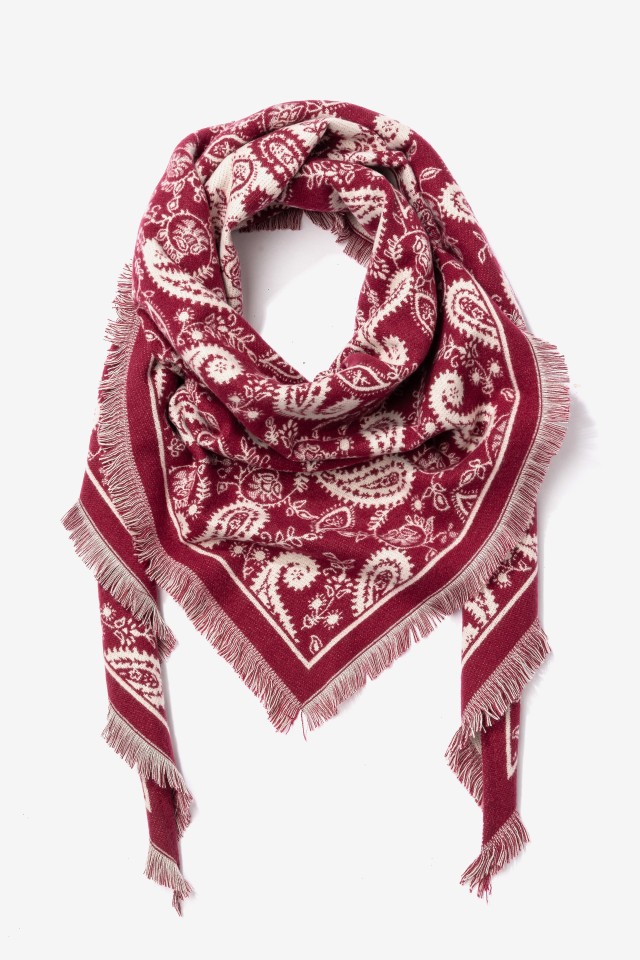 Pa�uelo burdeos paisley