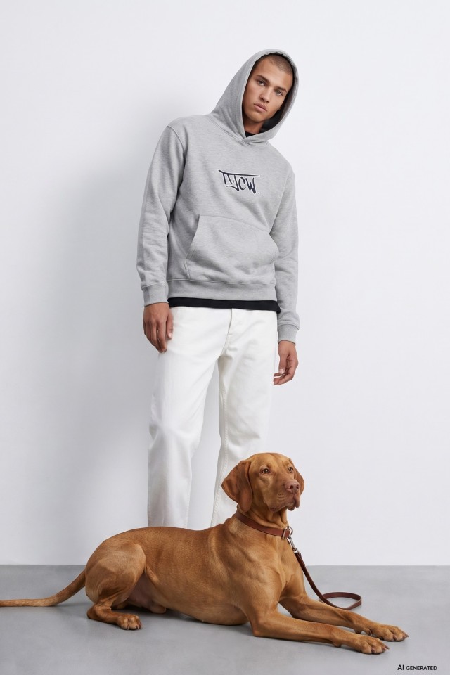 Grey Hoodie With Print