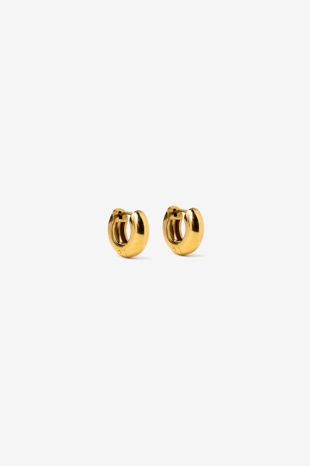 Golden Hoop Earrings
