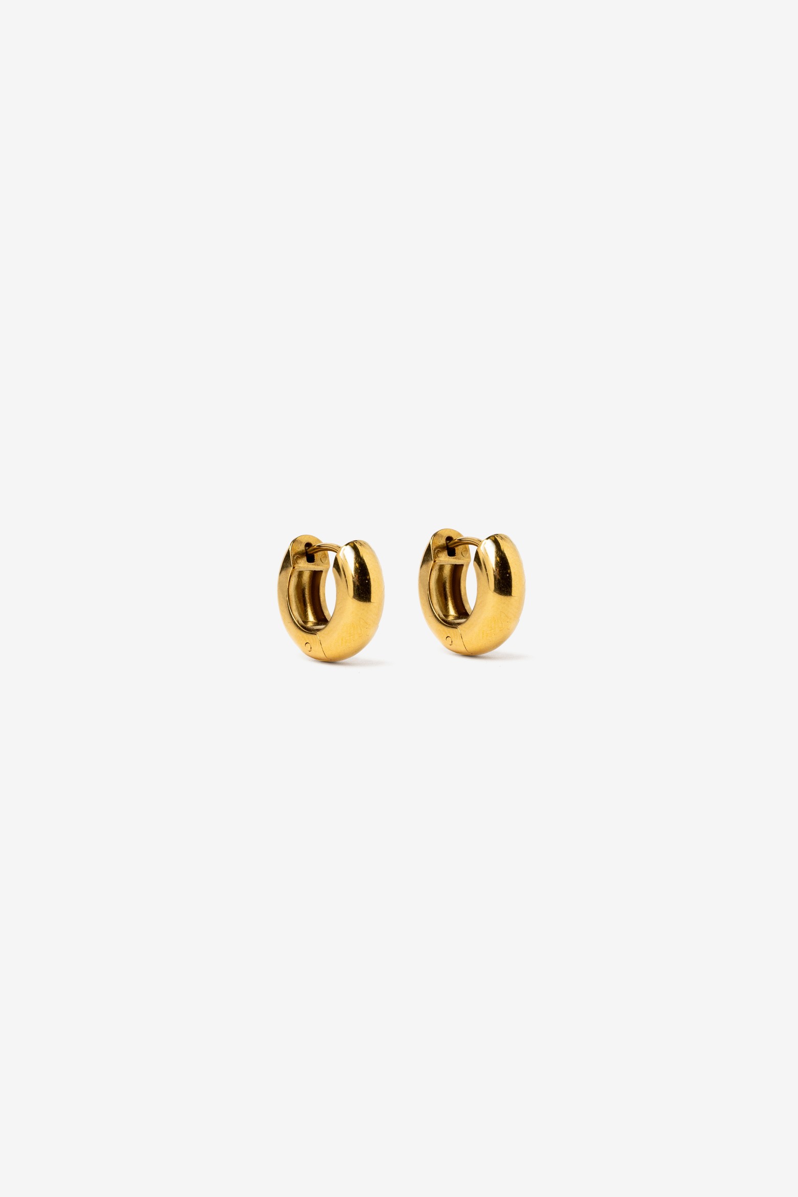 Golden Hoop Earrings